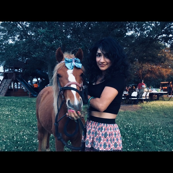 Little Gypsy Dragon - Picture 6 of 6